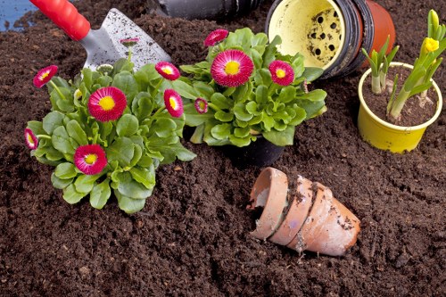 Illustration of a gardener complaints process overview