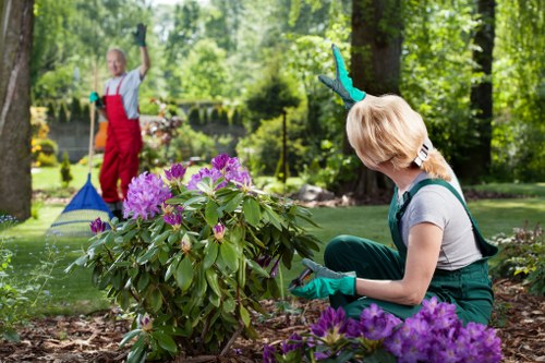 Professional garden clearance work in Blackfen