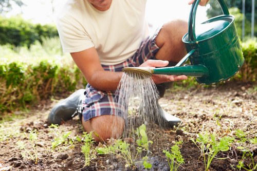Gardening service terms and conditions introduction