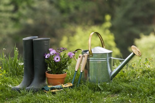Weed control, pruning, and tidy border maintenance in Blackfen garden services