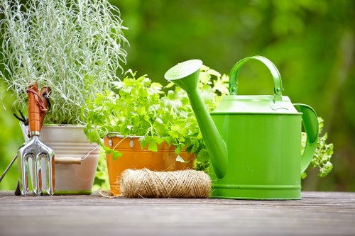Professional mowing and feeding service for a garden lawn in Blackfen