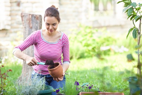 Example garden clearance and maintenance jobs in Blackfen
