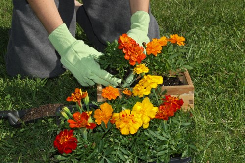 Supplier compliance review for Gardeners Blackfen