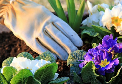 Trusted Gardeners Blackfen checkout with secure payment options