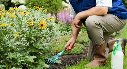 Soft landscaping borders and seasonal planting in a Blackfen garden