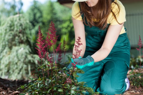 Annual review of anti-slavery controls at Gardeners Blackfen