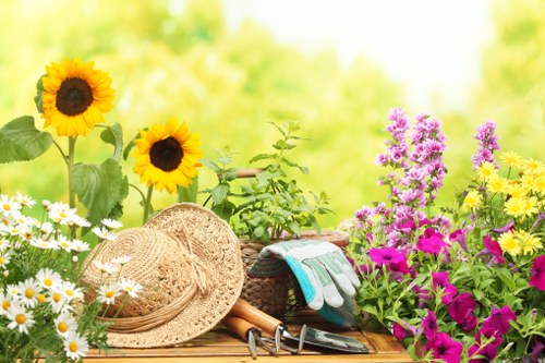 Free quote policy for Blackfen gardening services