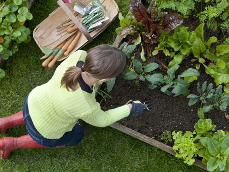 Professional patio cleaning on a Blackfen garden surface