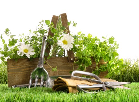 Reporting channel and safeguarding process at Gardeners Blackfen