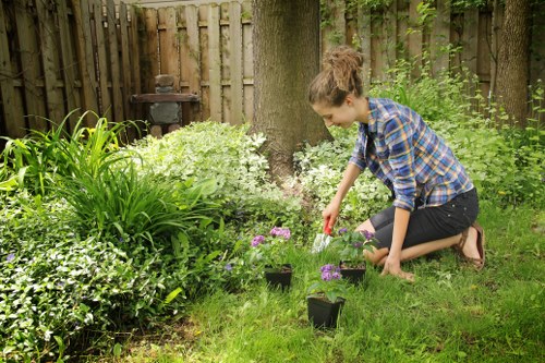 Professional garden maintenance in Blackfen