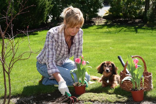 Low-carbon van supporting sustainable garden services
