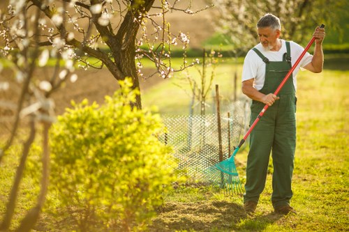 Seasonal lawn maintenance in Blackfen with fresh green grass and tidy borders